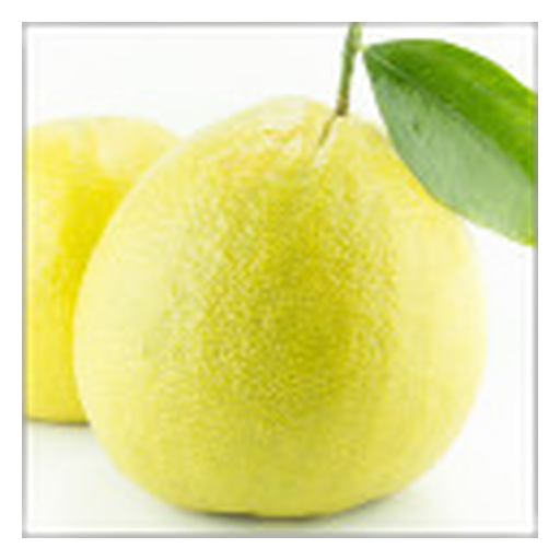 Bergamota
