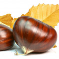 Castanha Cristalizada
