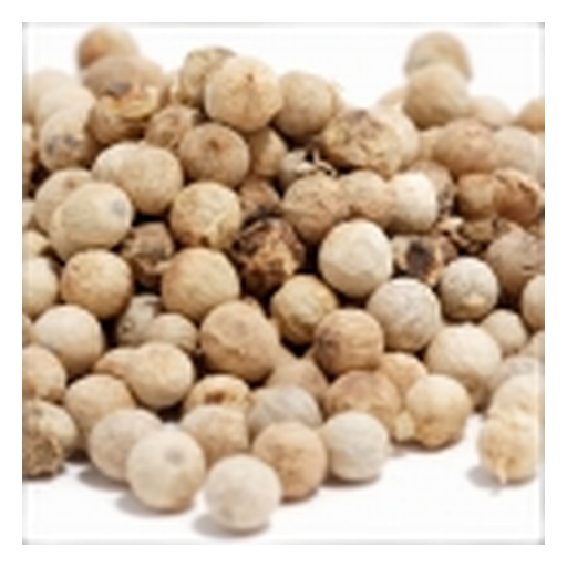 Coriander