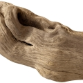 Madeira seca