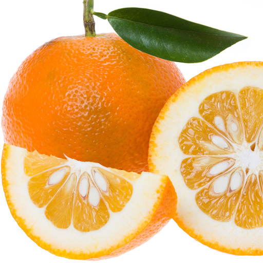 Laranja amarga