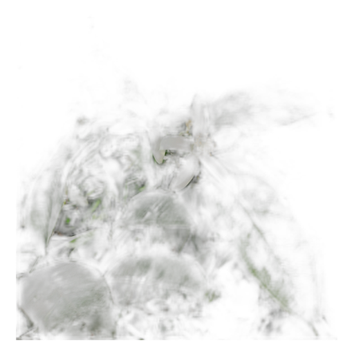 Flor de Laranjeira