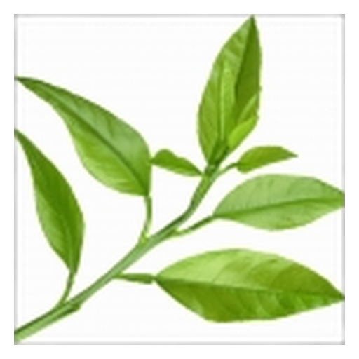 Petitgrain