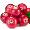 Frutas vermelhas