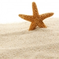 Areia