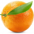 Laranja Doce