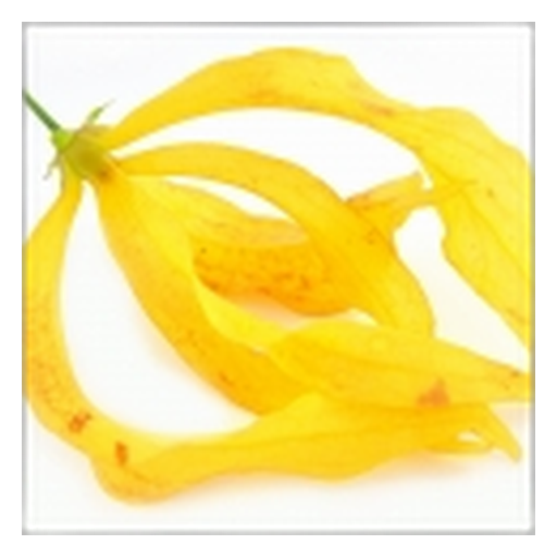 Ylang-ylang