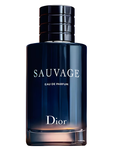 Sauvage EDP: Review Completa e Contratipos Abaixo de R$ 150