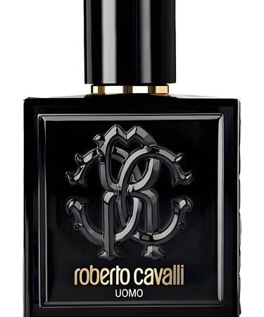 Uomo Roberto Cavalli