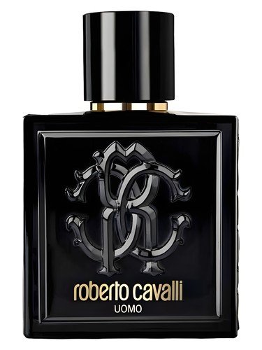 Uomo Roberto Cavalli
