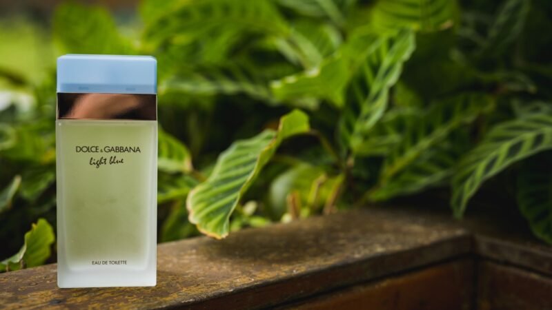 Gran Everest Asa Perfumes vs Creed Himalaya: O Nacional que Brilha no Calor