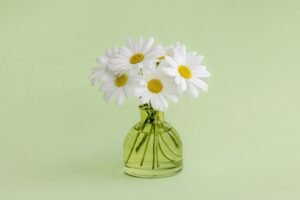 Perfumes Masculinos Verão Baratos: O Cheiro do Verão Europeu Acessível!