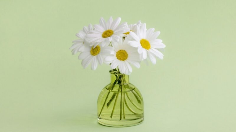 Perfumes Masculinos Verão Baratos: O Cheiro do Verão Europeu Acessível!