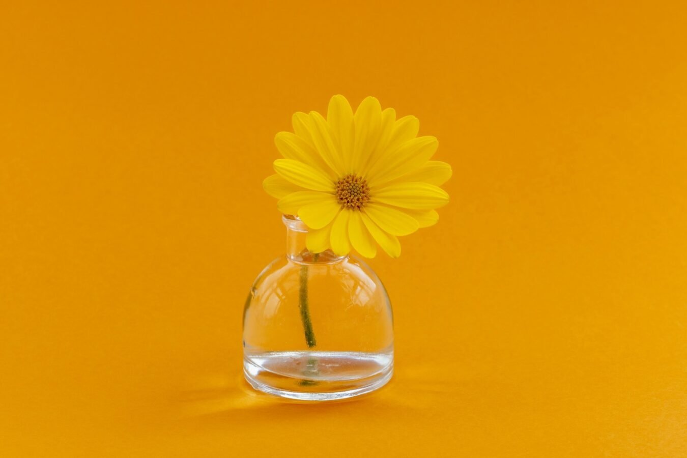 Perfumes unissex para o calor: o que os votos de estação mostram