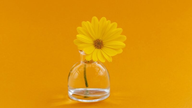 Perfumes Unissex Frescos Verão: O Guia Definitivo Pro Calor BR