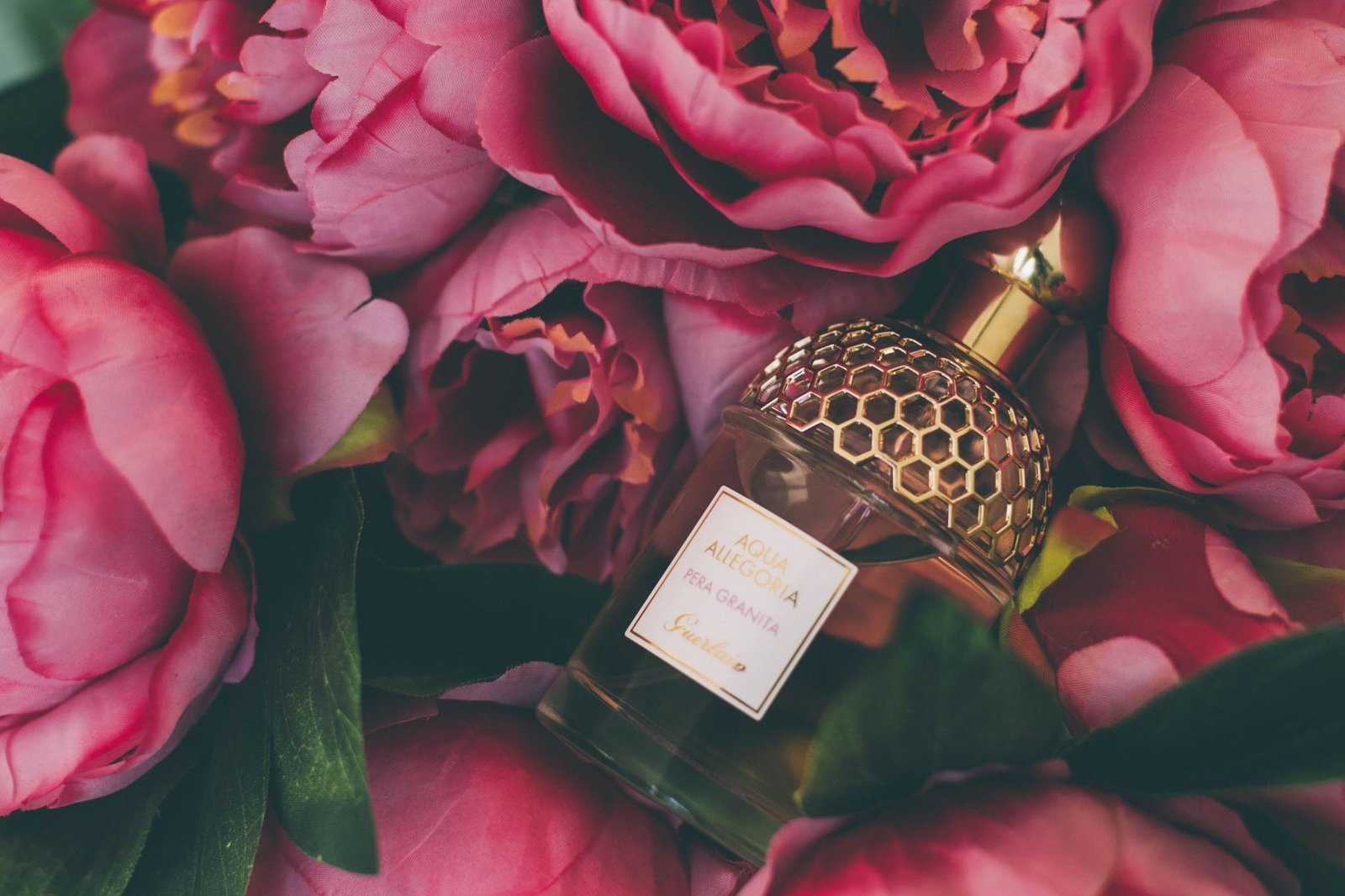Perfumaria — Lattafa Yara Review: Feminino Brasil Bloco Carnaval – Será que segura?