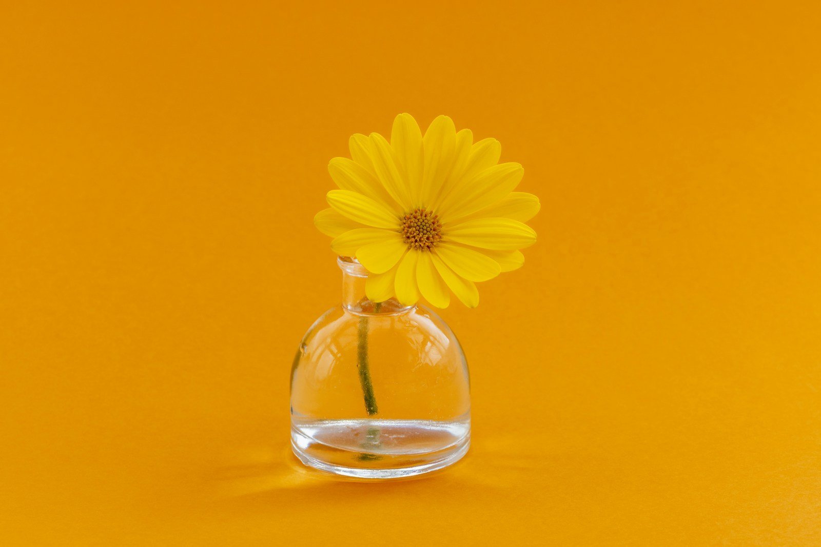 Perfumaria — Perfumes para o outono troca guarda roupa olfativo verão: Adeus calor, olá estilo!