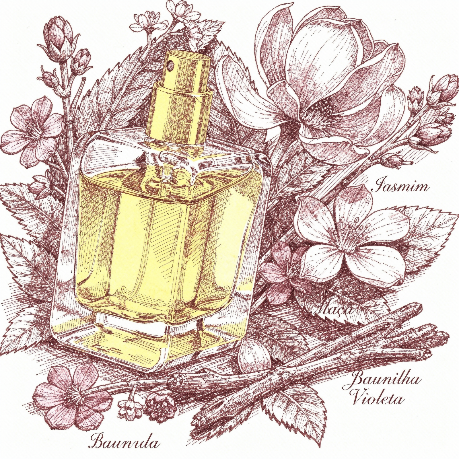 Détour Noir Al Haramain Perfumes — ilustração editorial
