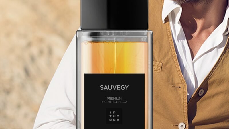 Sauvegy In The Box