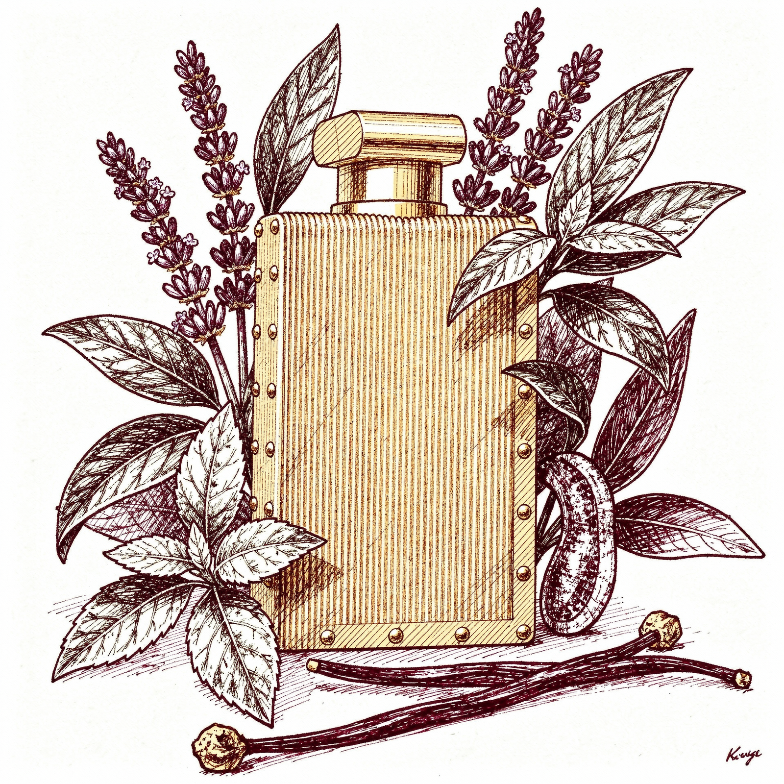 The Kingdom For Men Lattafa Perfumes — ilustração editorial