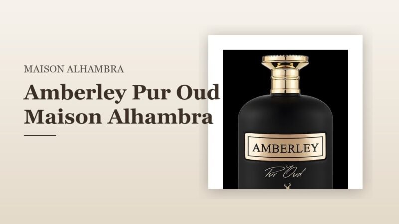 Amberley Pur Oud Maison Alhambra