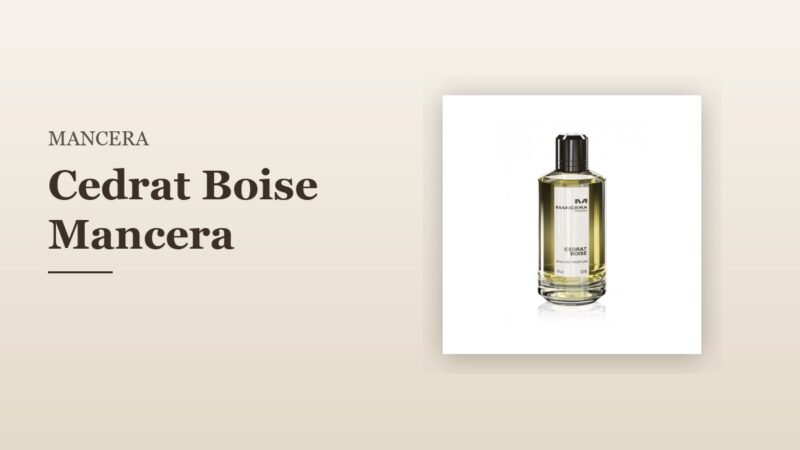 Cedrat Boise Mancera