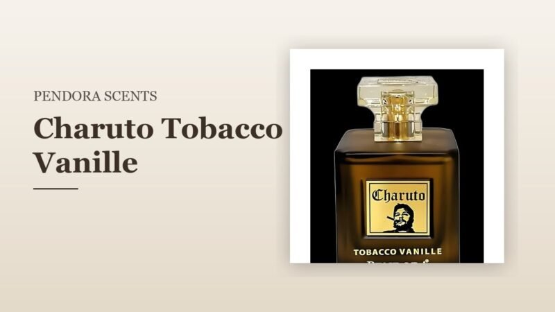 Pendora Scents Charuto Tobacco Vanille