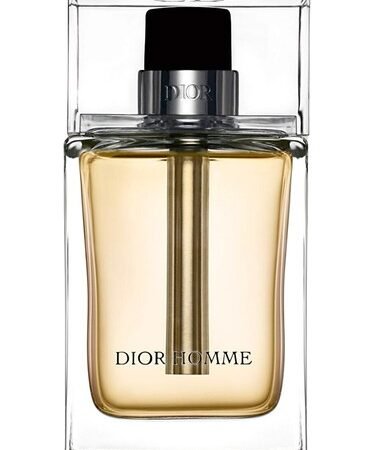 Dior Homme Dior
