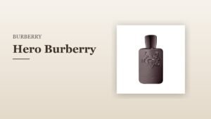 Hero Burberry