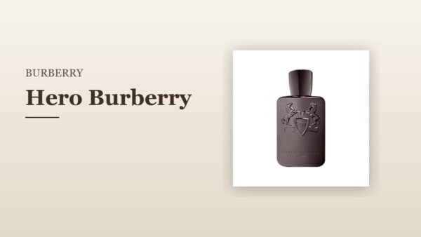 Hero Burberry