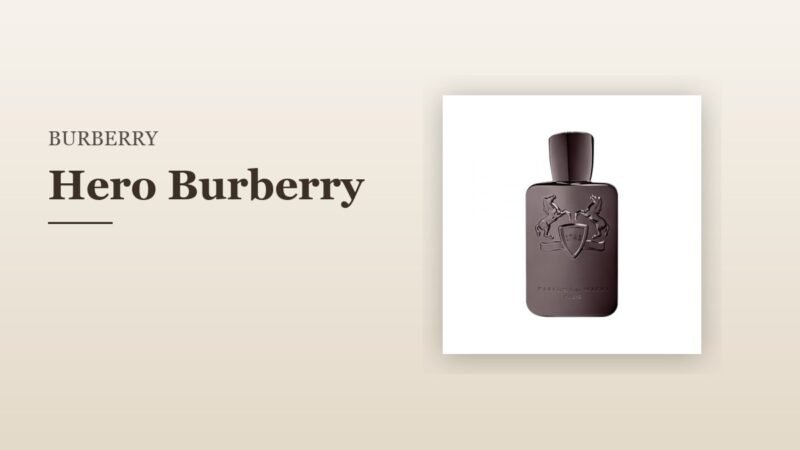 Hero Burberry