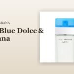 Light Blue Dolce & Gabbana