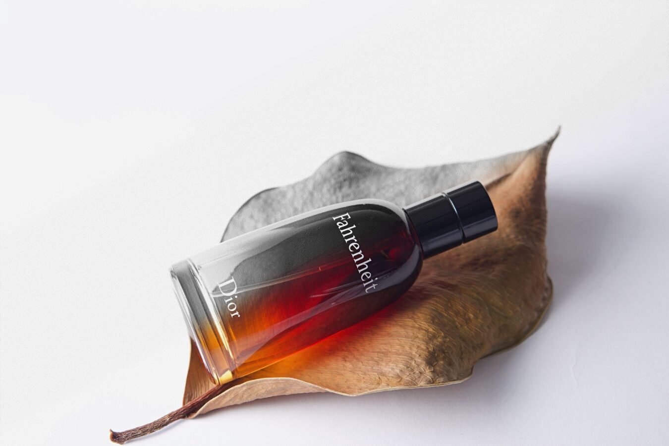Por que tanto perfume masculino cheira igual (e não é impressão sua)