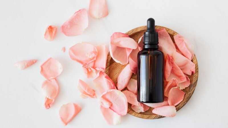 Black Opium ou Libre: Qual Ícone da YSL Combina Com Você?