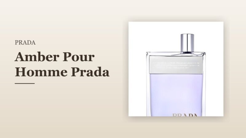 Prada Amber Pour Homme Prada