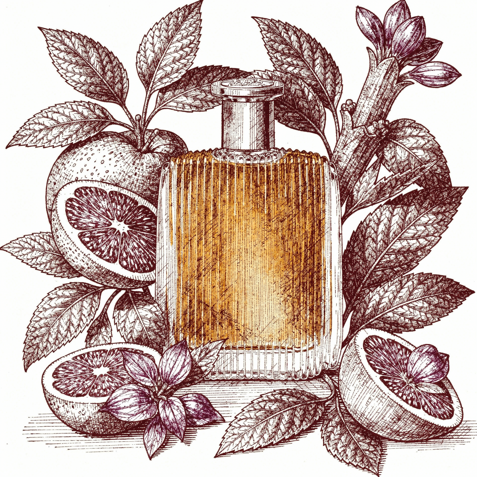 Riflesso Trussardi — ilustração editorial