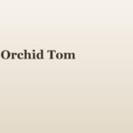 Black Orchid Tom Ford